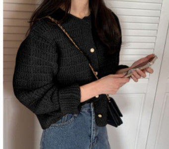Soft Weave – Textured Knit Short Sweater with Long Sleeves